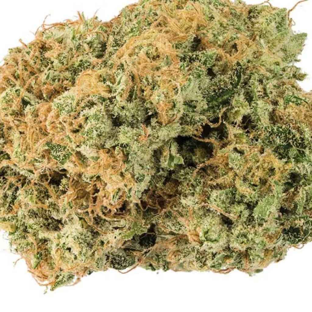 Blueberry Kush Strain: Berry-Sweet Indica Ounce in Halifax