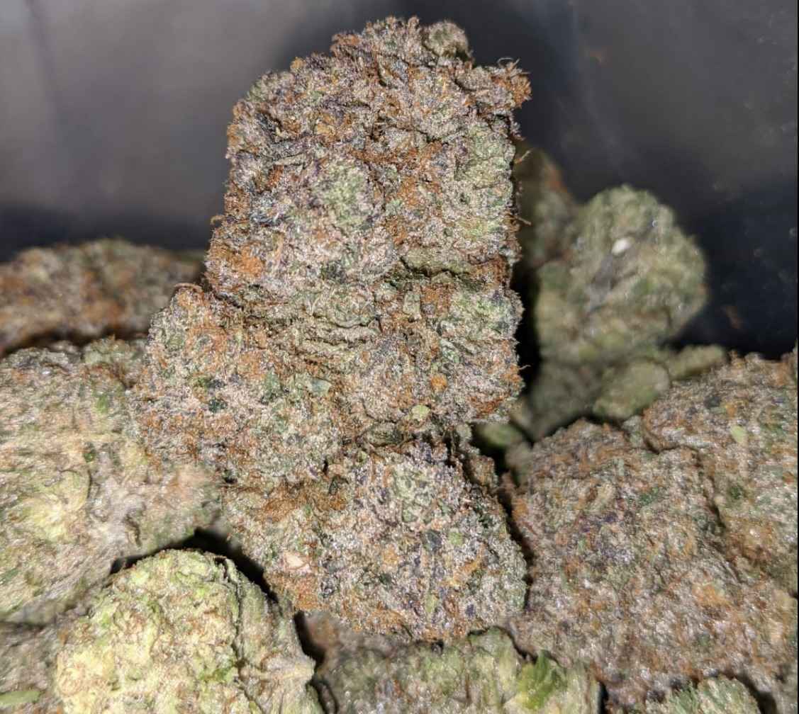 Pink Strains in Halifax: Every Pink on the Menu