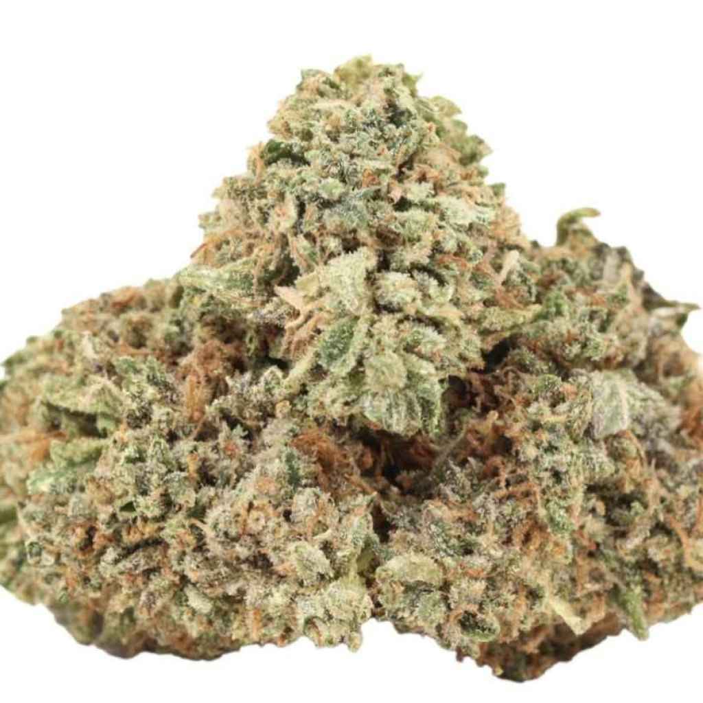Truffle Butter Strain: A $50 Ounce That Punches Up