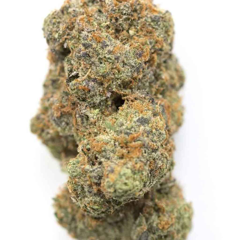Strawberry Cough Strain: A Classic Sativa, Delivered in Halifax