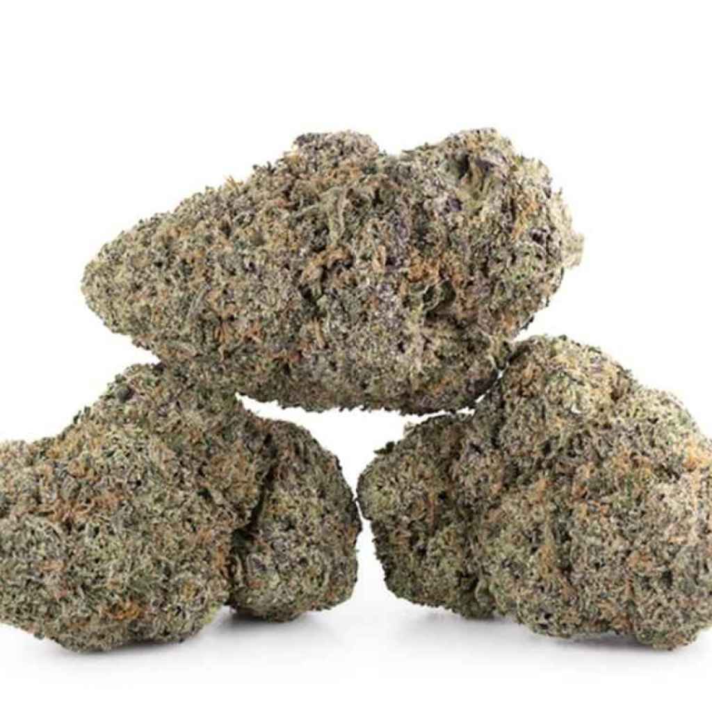 Ice Cream Cake Strain (LSO): Vanilla-Sweet Indica in Halifax