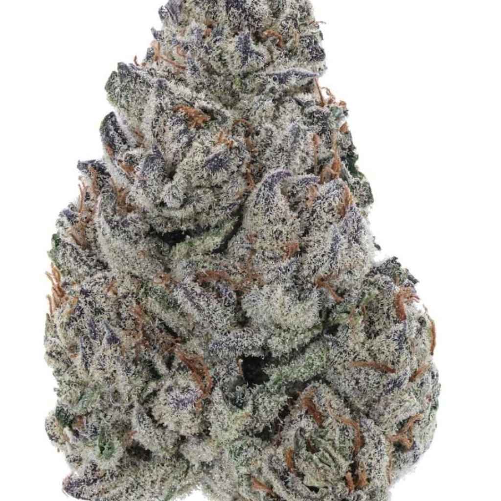 Blackberry Death Strain: Deep Berry, Heavy Indica