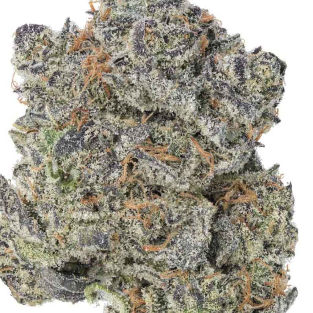 Gorilla Butter Strain: Creamy, Potent Hybrid in Halifax