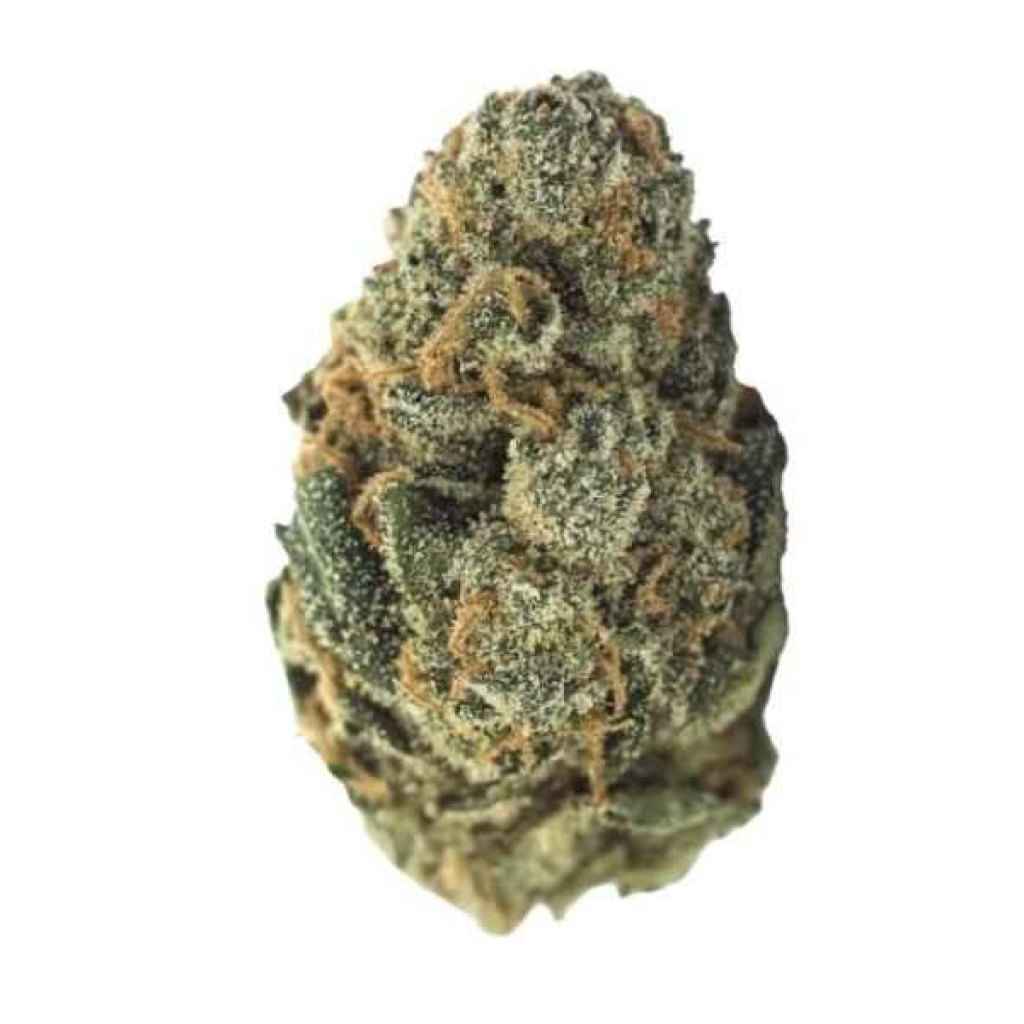 Sour Diesel in Halifax: A $50 Ounce of the Fuel Classic
