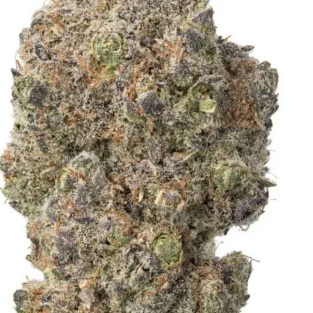 Platinum Kush Strain: Frosty, Heavy and Halifax-Ready