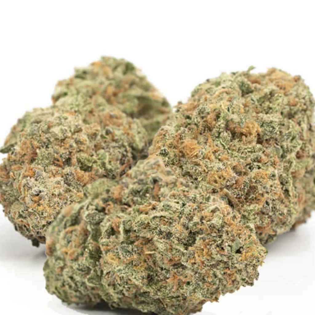 Green Crack Strain in Halifax: The Daytime Sativa Legend