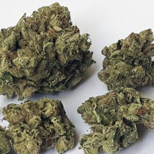 Purple Kush AA+