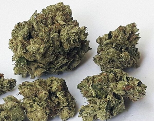 Purple Kush AA+