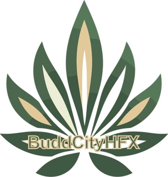 BuddCityHFX