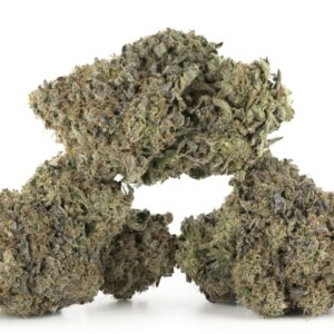 Dank Sinatra AAAA