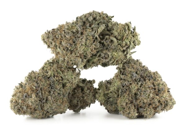 Dank Sinatra AAAA