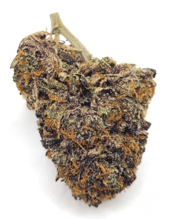 Purple Gas Mask AAAA