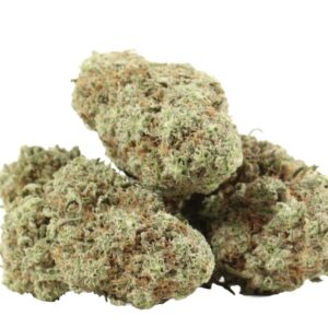 Strawberry Cough AAA+