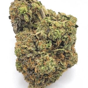 Gas Lab Pink Roazy AAAA