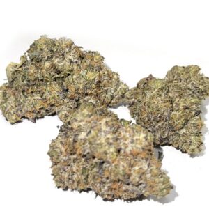 Gas Lab Jet Fuel Gelato AAAA