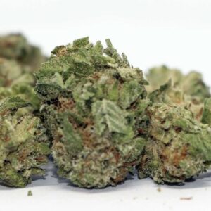 Blueberry kush